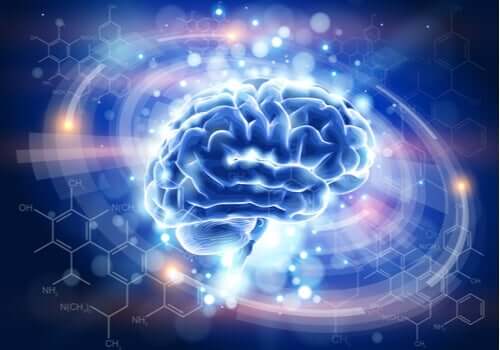 Enkephalin: Ein schmerzlindernder Neurotransmitter