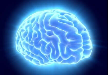 Ein beleuchtetes blaues Gehirn.