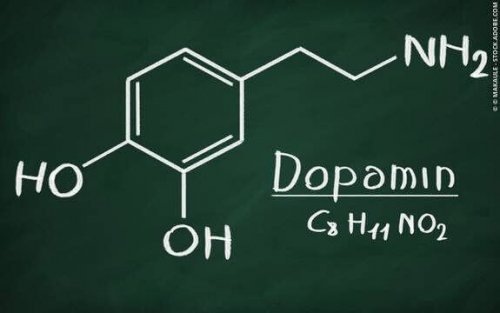 Der Neurotransmitter Dopamin wird von bestimmten Nervenzellen aus der Aminosäure Tyrosin synthetisiert.
