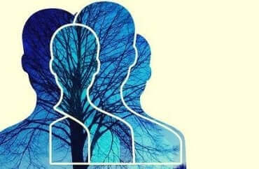 die Theorie des Geistes ist für soziale Beziehungen viel wichtiger als Empathie.