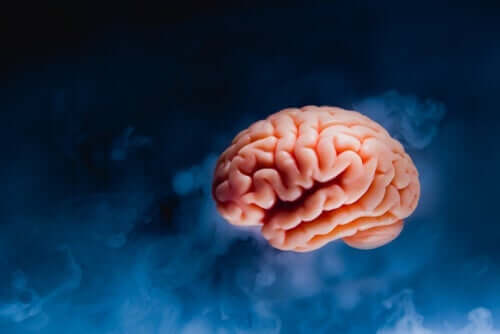 Dutton und Aron - Gehirn vor blauem Hintergrund