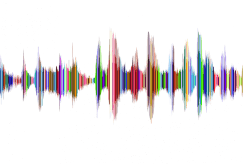 Ohrwurzenm - Musikfrequen