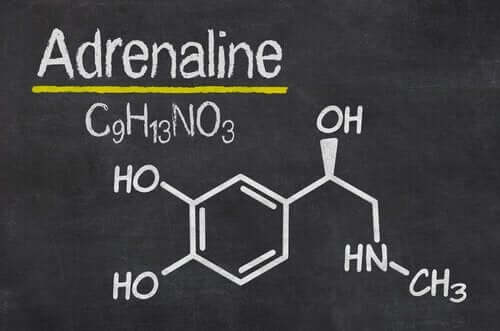 Die chemische Formel des Adrenalins.