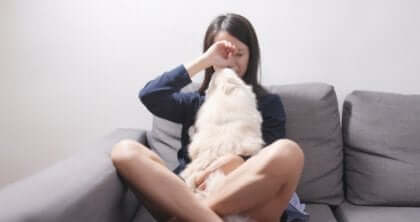 Therapiehunde im Einsatz