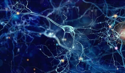 isoliertes Gehirn - Neuronen