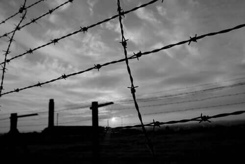 1943 schickte die Gestapo Ferster in ein Konzentrationslager.