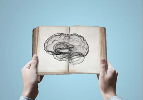Neurowissenschaften: Können wir Wissen erben?