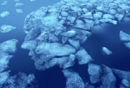 Der Pathologe und forensische Mediziner Harrison Martland beschrieb 1928 als erster die klinische Dementia pugilistica.