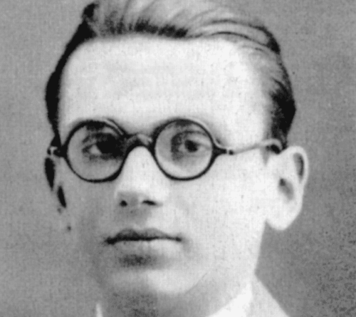 Kurt Gödel: Eine Biografie des "Herrn Warum"