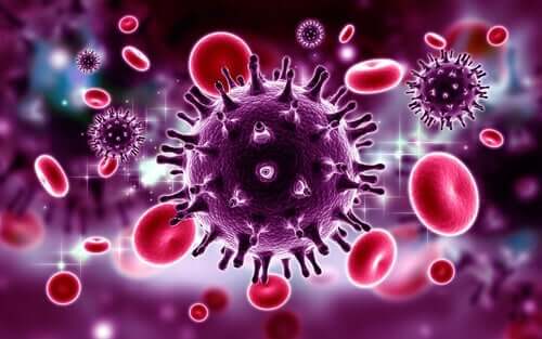 HIV - Virus
