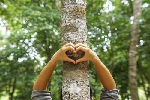 Umweltschutz - Hände, die ein Herz an einem Baum formen