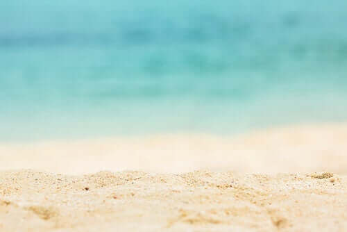 Umweltschutz - Strand