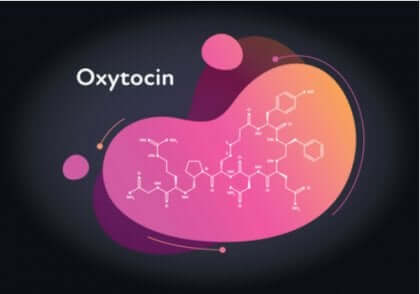 Die Vorteile von Oxytocin sind zahlreich und das Liebeshormon spielt eine wichtige Rolle bei deinen Körperfunktionen und in deinem Verhalten.