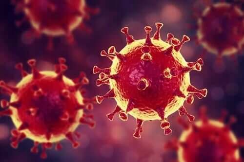 Psychologische Tipps in Zeiten des Coronavirus: "Impfungen" gegen Panik