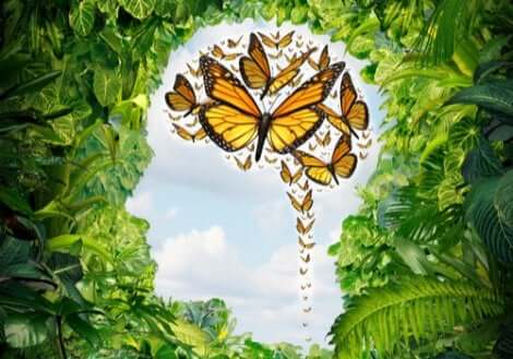 Inmitten des Chaos positive Gedanken