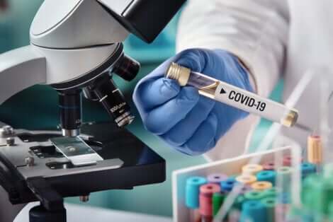 neurologische Symptome durch Coronavirus
