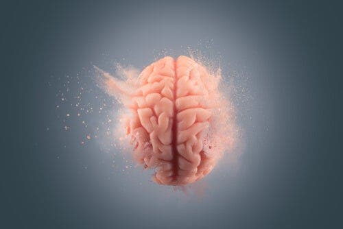 Vergessen ist schwieriger - Gehirn im Wasser