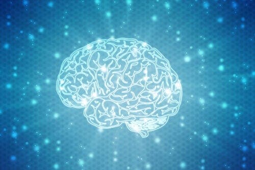 Neuromythen: Gängige Missverständnisse über unser Gehirn