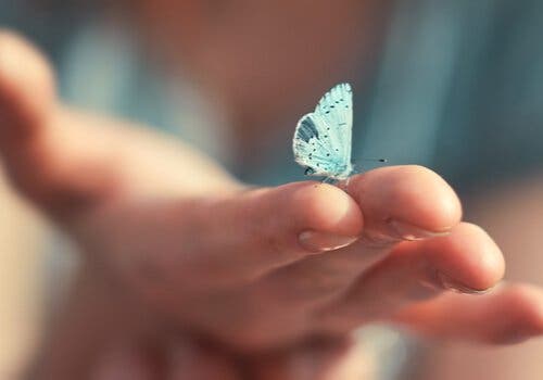 Weisheiten von Viktor Frankl - Hand mit Schmetterling