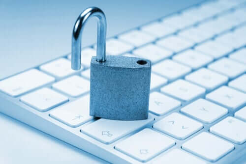 Wie schützen wir unsere Rechte im World Wide Web