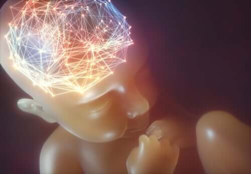 neuronale Synchronisation - Gehirn eines Babys