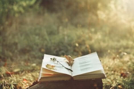Dickinson liebte es bereits in jungen Jahren, Geschichten für ihre Klassenkameraden zu erfinden