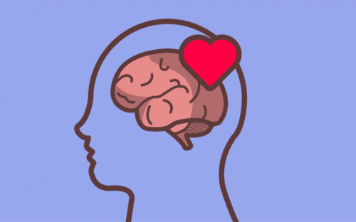 Herz und Gehirn - Deine Emotionen verstehen