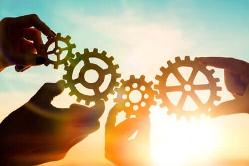 menschliche Entwicklung