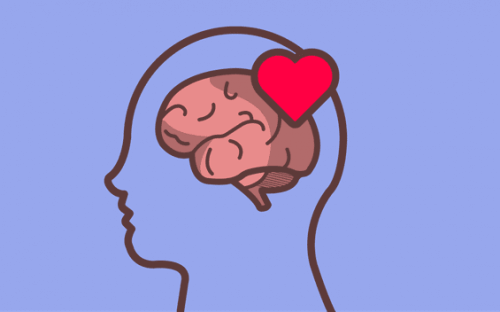 emotionale Bildung - Herz und Gehirn