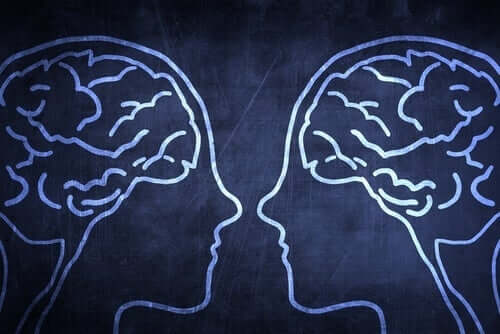 Das soziale Gehirn: Inwiefern verschafft es den Menschen einen evolutionären Vorteil?