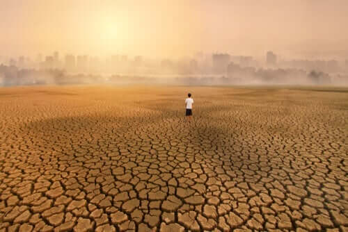 Öko-Angst: Eine Folge des Klimawandels