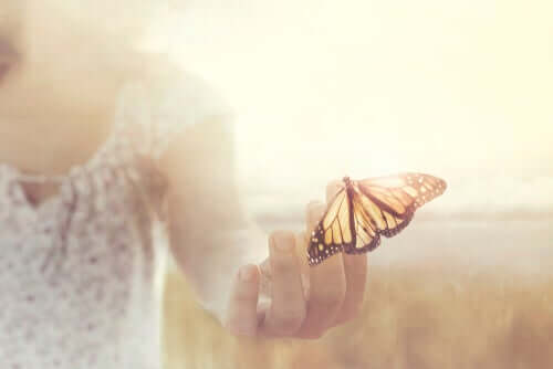Ich bin dankbar - Schmetterling auf der Hand einer Frau