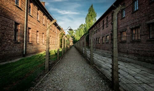 Mala und Edek - im Konzentrationslager