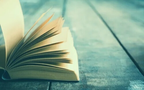 Ein offenes Buch liegt auf einem Holztisch. Louisa May Alcott