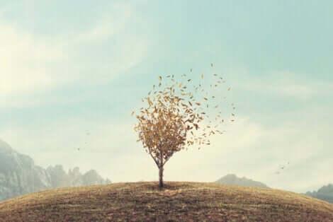 Steigerung des Selbstwertgefühls - frei stehender Baum