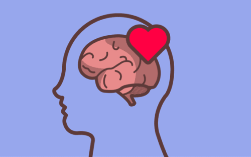Selbstregulation - Gehirn mit Herz
