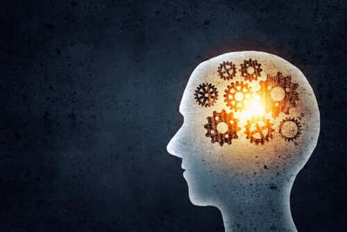 Skinner ging es darum, Wissen zu suchen und zu entdecken, das der gesamten Gemeinschaft als Ganzes zugute kommt