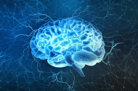 Neurowissenschaft erklärt wie dein Gehirn funktioniert
