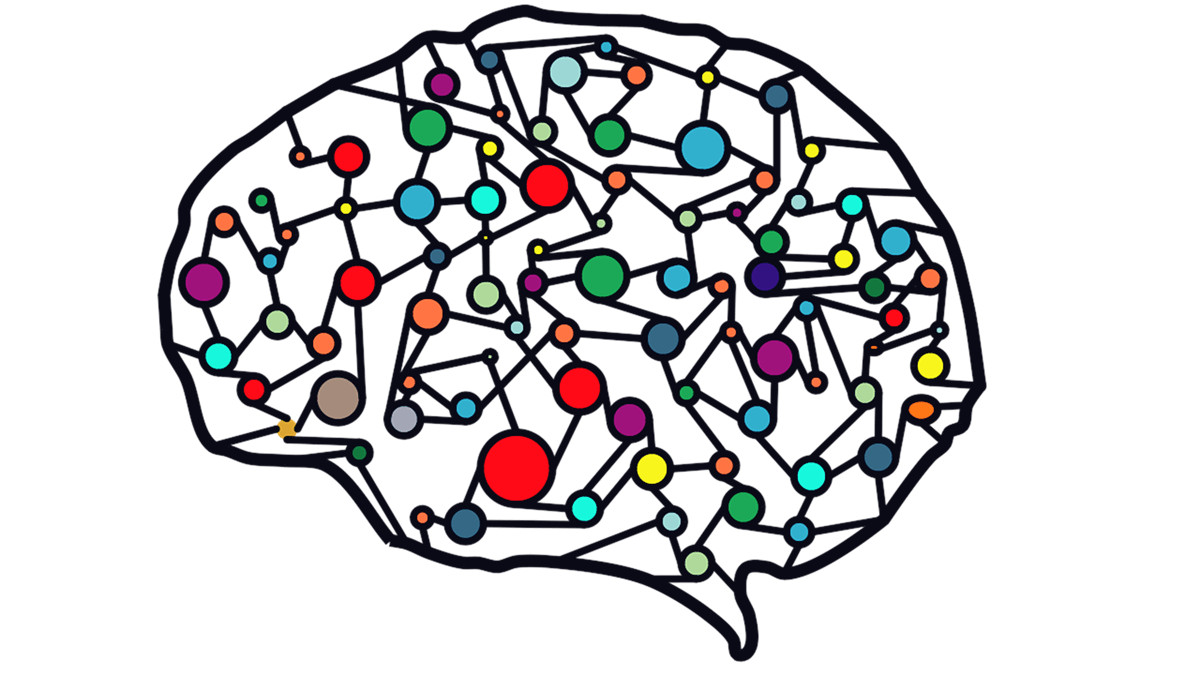 Ein Gehirn mit Farben
