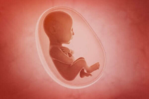 Sensorische Entwicklung bei Ungeborenen und Neugeborenen