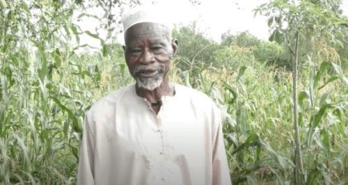 Yacouba Sawadogo, der Mann, der die Sahara besiegt hat