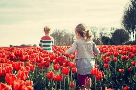 sozio-emotionale Fähigkeiten - Kinder in Tulpenfeld