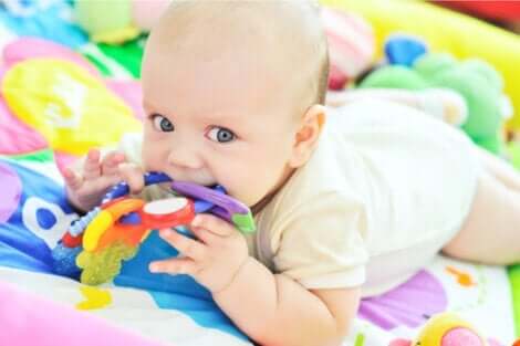 Sensorische Entwicklung - Baby beißt in Spielzeug