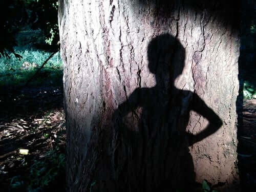 Peter-Pan-Syndrom - Schatten vor einem Baum