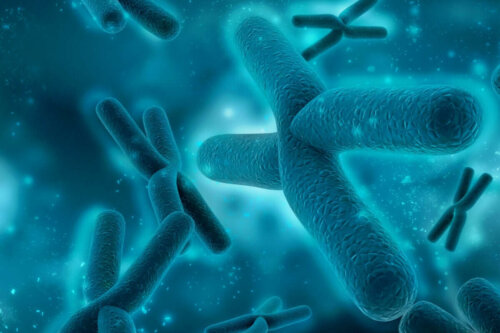 Einige Chromosomen