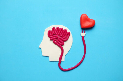 Ein Gehirn und ein Herz