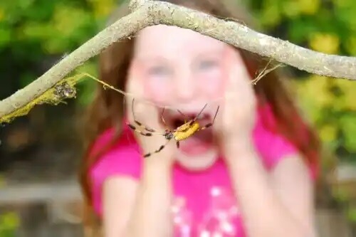 Ein Kind hat panische Angst vor einer Spinne.