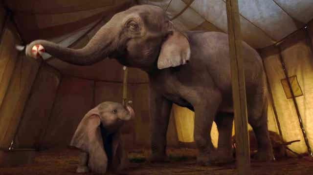 der Elefant Dumbo