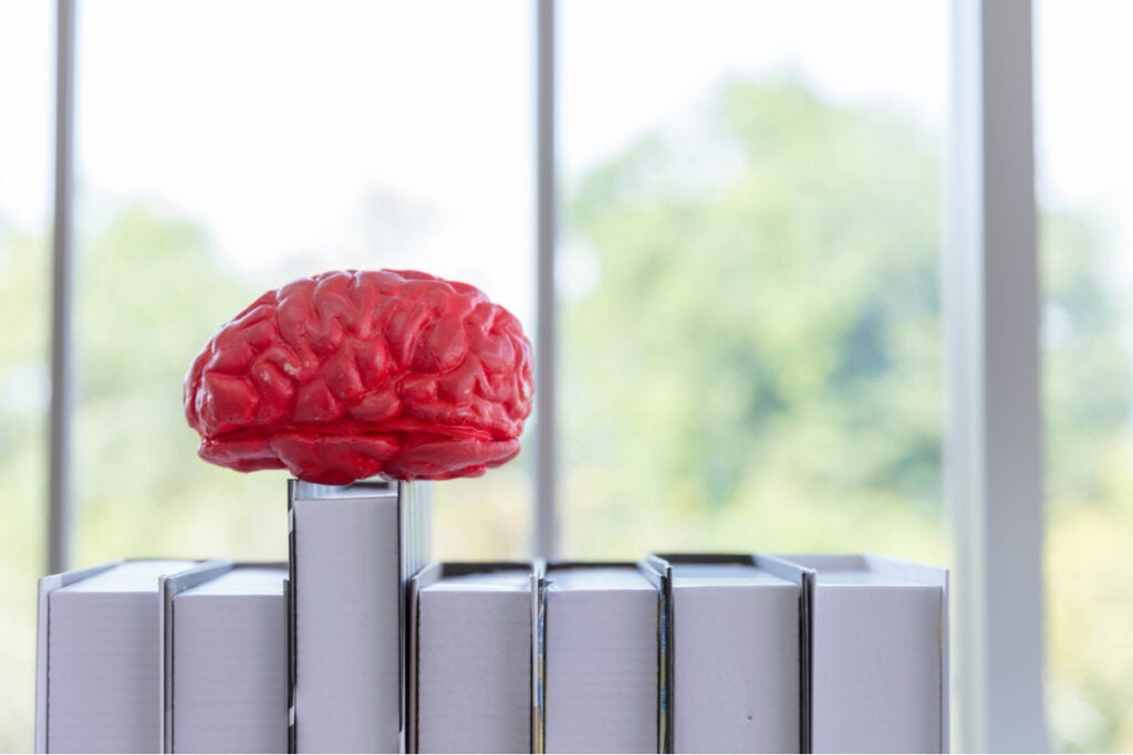 Klassifikationssystem der Psychiatrie: Die faszinierende Geschichte des DSM