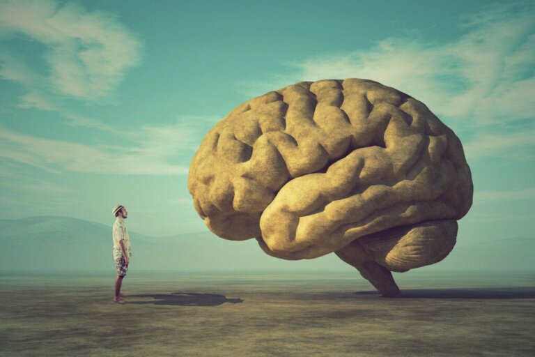 Warum konzentriert sich unser Gehirn auf Negatives?